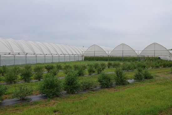 Фото пресс-службы Администрации Алтайского района Хакасии